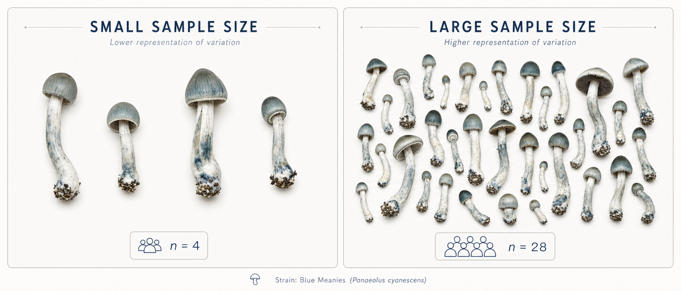 Small and Large Sample Size Comparison
