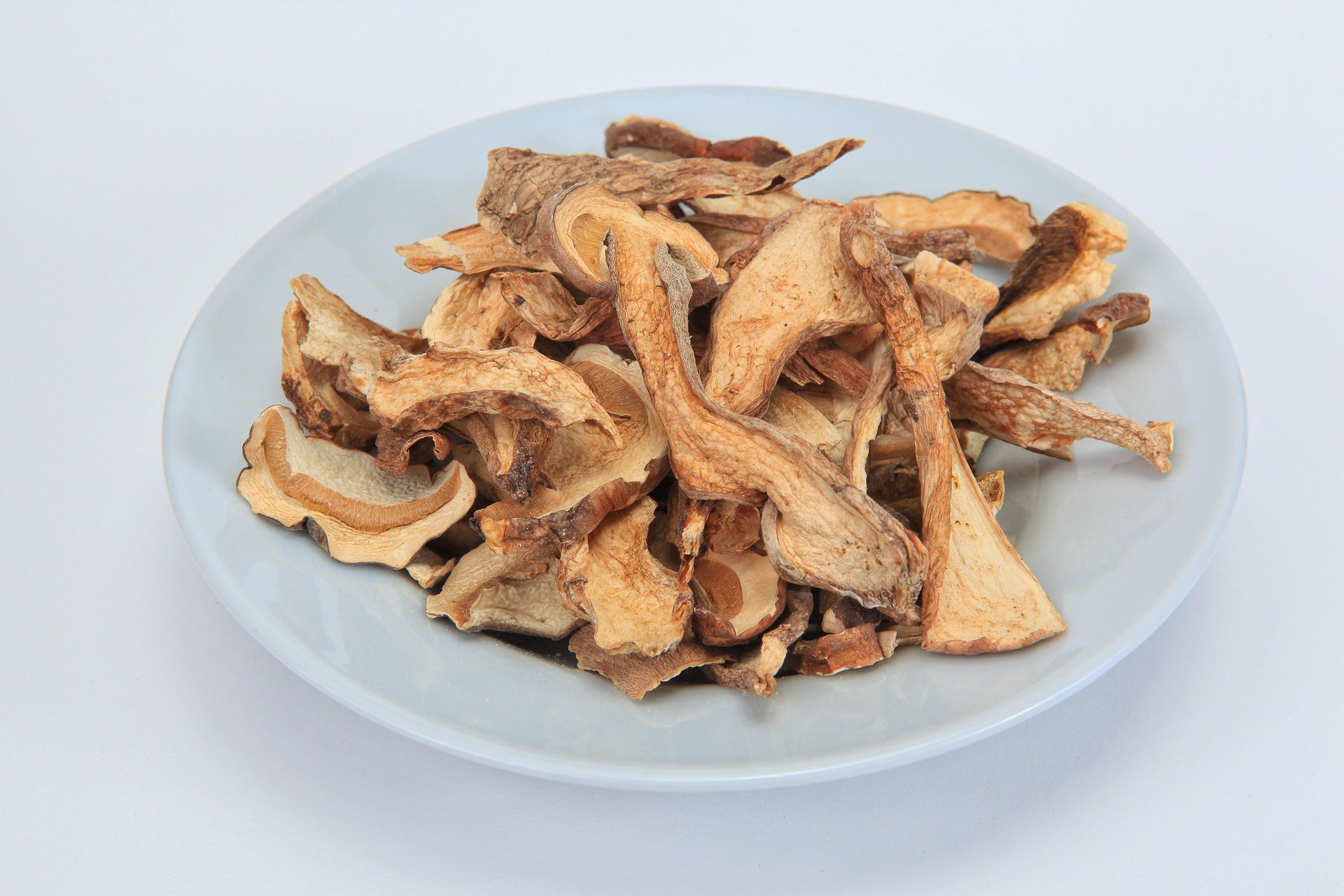 Psilocybin mushroom research specimen