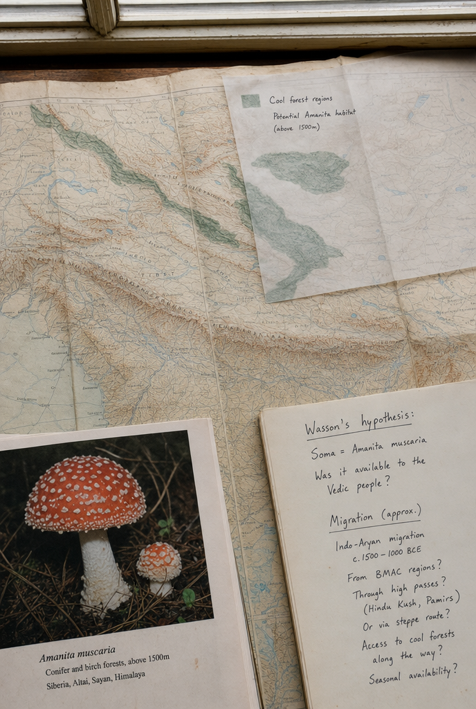 The Banker Who Tried To Identify Migrationmap