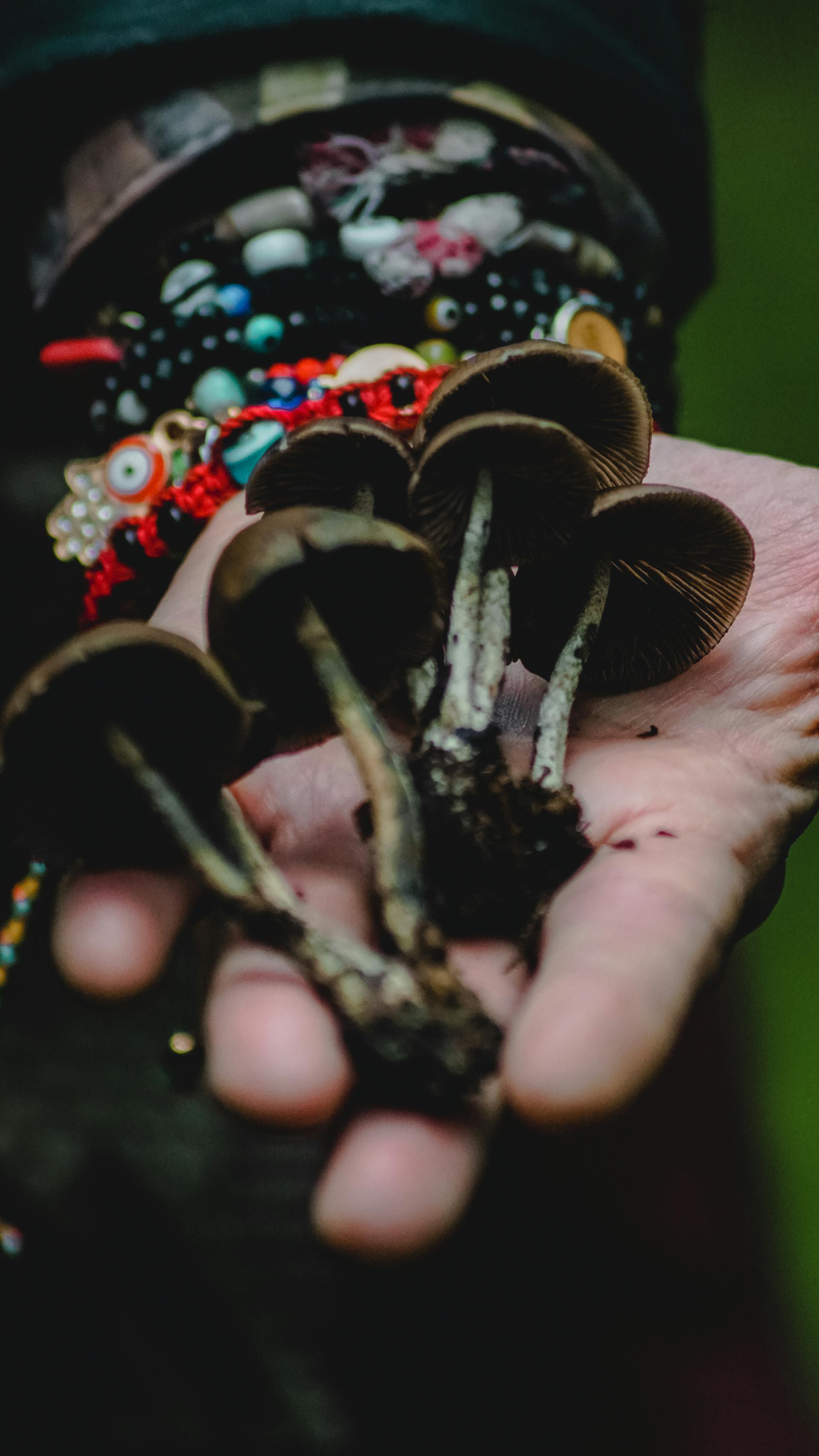 Psilocybin Legal Status Worldwide: A 2026 Snapshot — editorial image 3